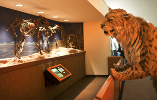 Illustration for article titled 8 Amazing Museums Where You Can Bring a Sleeping Bag and Stay the Night